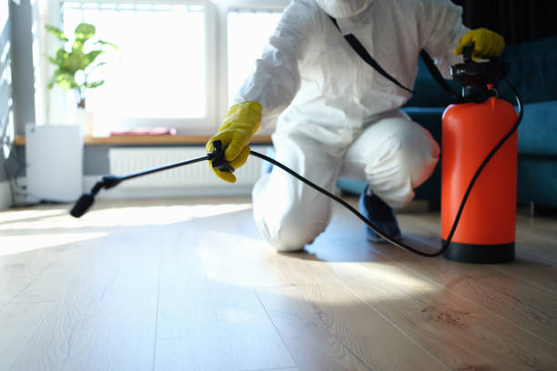 Trusted Hoarding Cleanup service in Vermillion, SD - Four Month Blood Cleanse